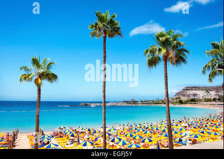 Playa de Amadores Strand. Gran Canaria. Spanien Stockfoto