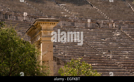 Antike Theater von Epidaurus, Argolis, Peloponnes, Griechenland, Europa Stockfoto