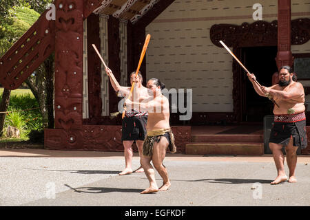 Te Pitowhenua Gruppe von Darstellern handeln eine traditionelle Maori Begrüßung für Touristen und Besucher an den Waitangi Treaty Grounds, Nort Stockfoto