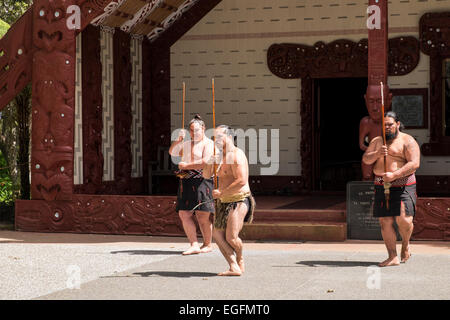 Te Pitowhenua Gruppe von Darstellern handeln eine traditionelle Maori Begrüßung für Touristen und Besucher an den Waitangi Treaty Grounds, Nort Stockfoto