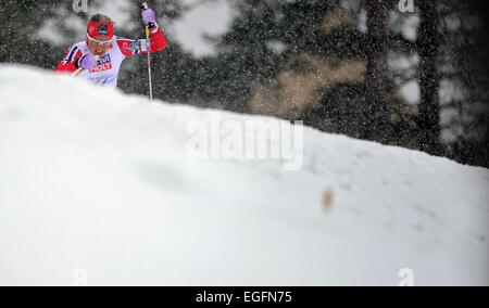 Falun, Schweden. 24. Februar 2015. Therese Johaug Norwegens in Aktion während der Langlauf Damen 10 km, Einzelwertung bei der nordischen Ski-Weltmeisterschaften in Falun, Schweden, 24. Februar 2015. Foto: Hendrik Schmidt/Dpa/Alamy Live News Stockfoto