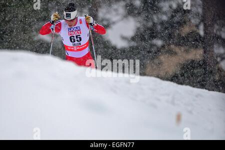 Falun, Schweden. 24. Februar 2015. Marit Bjoergen Norwegens in Aktion während der Langlauf Damen 10 km, Einzelwertung bei der nordischen Ski-Weltmeisterschaften in Falun, Schweden, 24. Februar 2015. Foto: Hendrik Schmidt/Dpa/Alamy Live News Stockfoto