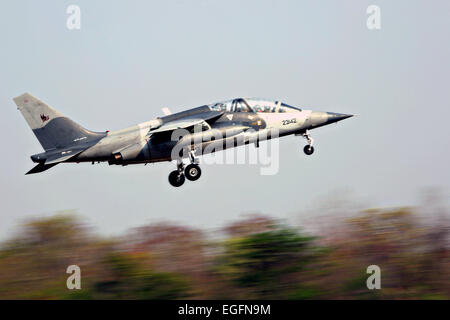 Ein Flugzeug der Royal Thai Air Force Northrop F-5A Freedom Fighter hebt zum Flug während des gemeinsamen Trainings Cobra Gold 16. Februar 2015 in Korat, Thailand. Stockfoto