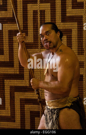 Te Pitowhenua Gruppe von Darstellern Handeln einen traditionelle Maori Schuh mit Gesang und Tanz für Touristen und Besucher in die Waitangi zu behandeln Stockfoto