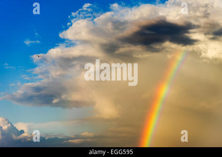 Regenbogen durchbricht die Cumulus-Wolken im Juli Stockfoto