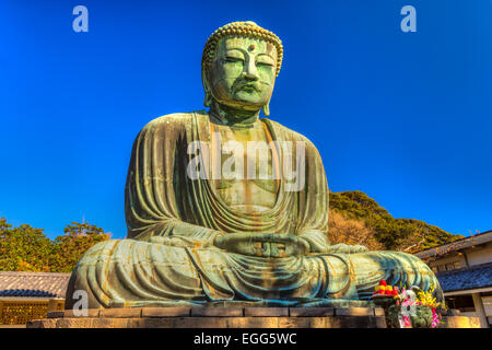 Der große Buddha von Kotokuin Tempel in Kamakura, Japan. Stockfoto