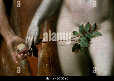 Cornelis van Haarlem The Fall der Mann Adam Eva Garden Of Eden Apfel Baum Museum Niederlande (Detail) Stockfoto