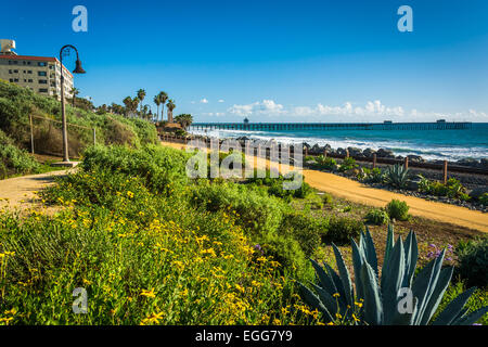 Bunte Blumen und Blick auf dem Fishing Pier bei Linda Lane Park in San Clemente, Kalifornien. Stockfoto