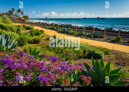 Bunte Blumen und Blick auf dem Fishing Pier bei Linda Lane Park in San Clemente, Kalifornien. Stockfoto