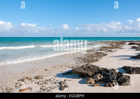 Strand Cayo Coco Kuba Stockfoto