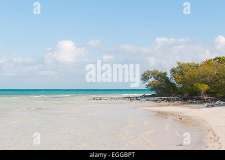 Cayo Coco Kuba Strand Stockfoto