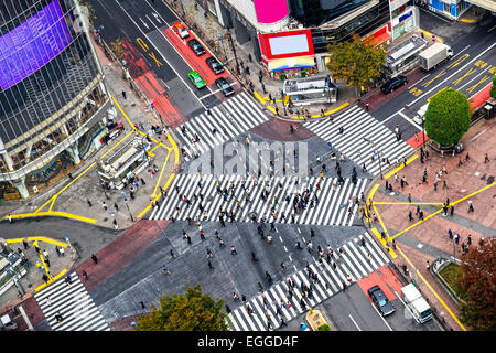 Ansicht von Shibuya Crossing, einer der verkehrsreichsten Zebrastreifen der Welt. Tokio, Japan. Stockfoto