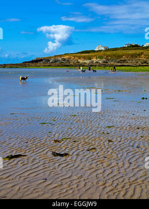 Der Sandstrand bei Ebbe im Daymer Bay in der Nähe von Padstow an der Küste von North Cornwall im Südwesten England UK Stockfoto