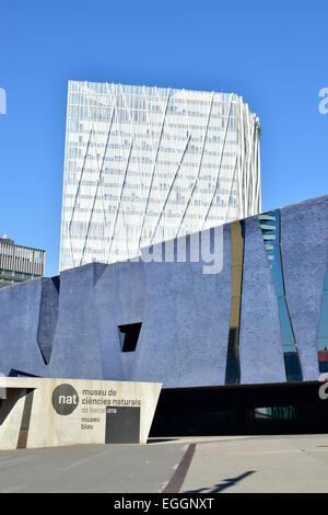 Museu Blau und Telefonica Gebäude. Barcelona, Katalonien, Spanien. Stockfoto