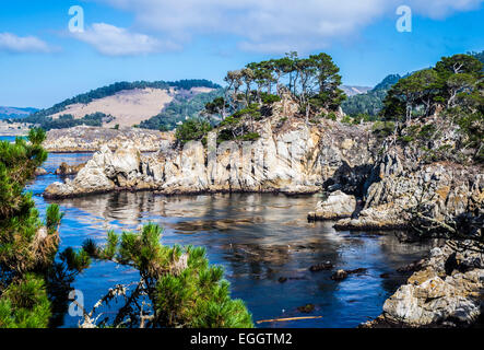 Felsige Küste und Pinien am Point Lobos State Reserve. Monterey County, Kalifornien, USA. Stockfoto