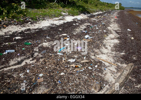 Kunststoff Schutt Verschmutzung am Strand in der Nähe von Mahahual, Quintana Roo, Mexiko Stockfoto
