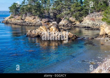 Felsformation im Whaler's Cove. Point Lobos State Reserve, Monterey County, Kalifornien, USA. Stockfoto