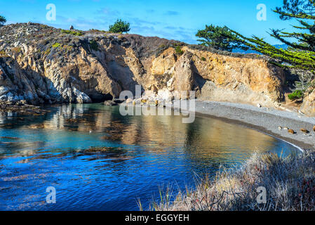 Blick auf das Meer und die felsige Küste am Point Lobos State Reserve. Monterey County, Kalifornien, USA. Stockfoto