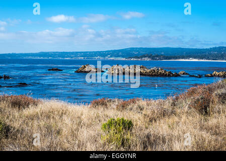 Blick auf das Meer und die felsige Küste am Point Lobos State Reserve, Monterey County, Kalifornien, USA. Stockfoto