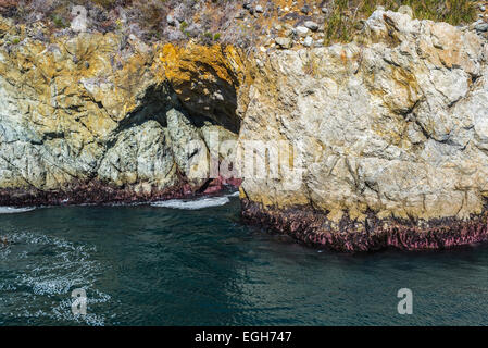 Partington Cove. Julia Pfeiffer Burns State Park, California, Vereinigte Staaten von Amerika. Stockfoto