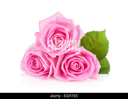 Drei Rosa Rosenblüten. Isoliert auf weißem Hintergrund Stockfoto