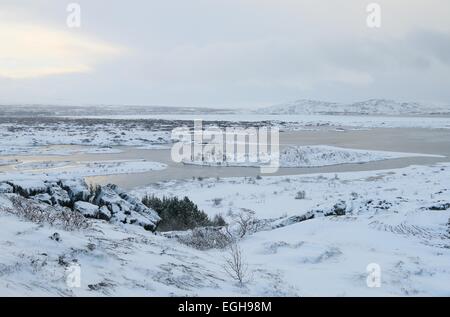 Þingvellir Nationalpark, wo die Kontinentalplatten Eurasien und Nordamerika in Island treffen. Stockfoto