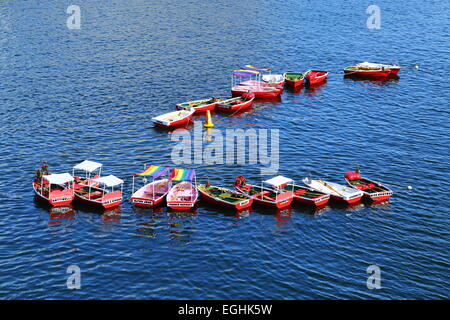 Zahlreiche bunte Boote ankern in Cockle Bay - Darling Harbour, Sydney, New South Wales. Stockfoto