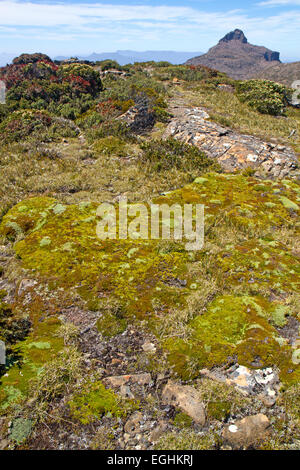 Mt Anne, der höchste Gipfel in Süd-west Tasmanien, gesehen vom Mt Eliza Stockfoto