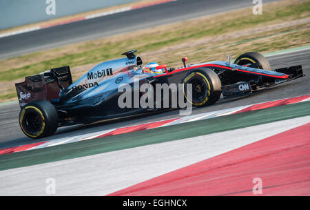 Fernando Alonso (SPA), McLaren Honda MP4-30, Formel1 Testsitzungen, Circuit de Catalunya. Stockfoto