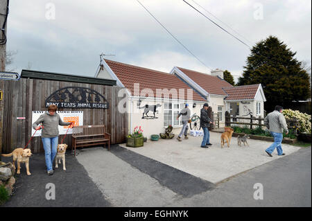 Viele Tränen Animal Rescue-Zentrum in der Nähe von Llanelli, Wales UK S. Stockfoto