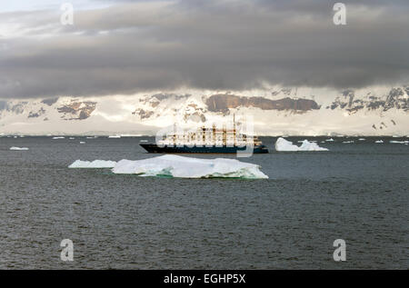 MS Sea Explorer ich Cuverville Island Stockfoto