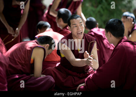 Ein Mönch eine lebhafte Debatte, Kloster Sera, Lhasa, Tibet Stockfoto