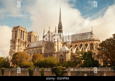 Kathedrale Notre Dame de Paris. Die beliebtesten Wahrzeichen der Stadt. Vintage Retro-stilisierte Fotofilter getönt Stockfoto