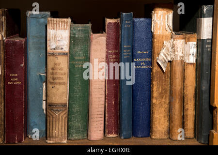 Süd-Georgien, Grytviken, alte norwegische Walfänger Kirchenbibliothek, Bücher in den Regalen Stockfoto