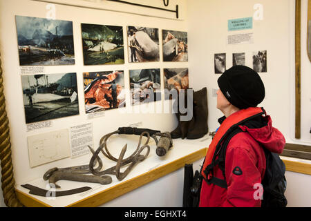 Grytviken, Südgeorgien Heritage Trust Museum, Tourist am Walfang-Ausstellung Stockfoto