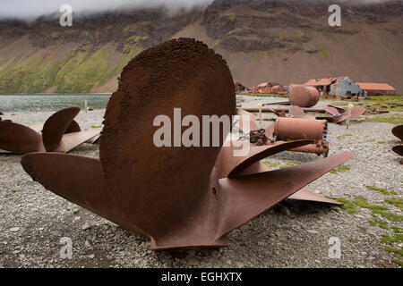 Süd-Georgien, Stromness, verschrottet Schiffe Propellern am Strand außerhalb alte Walfangstation Stockfoto