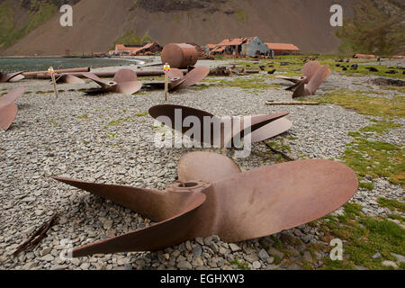 Süd-Georgien, Stromness, verschrottet Schiffe Propellern am Strand außerhalb alte Walfangstation Stockfoto