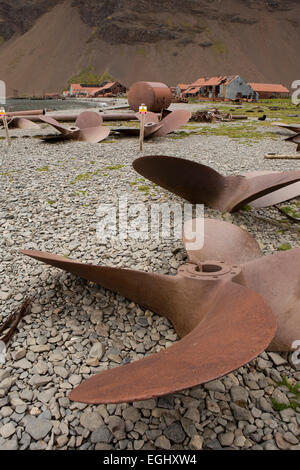 Süd-Georgien, Stromness, verschrottet Schiffe Propellern am Strand außerhalb alte Walfangstation Stockfoto