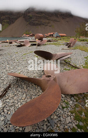 Süd-Georgien, Stromness, verschrottet Schiffe Propellern am Strand außerhalb alte Walfangstation Stockfoto