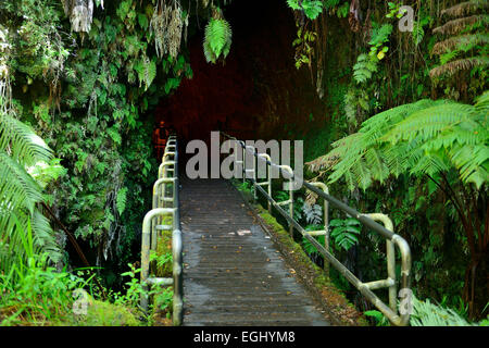 Eingang zum Thurston Lava Tube im Volcanoes National Park auf Big Island, Hawaii, USA Stockfoto