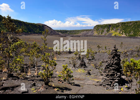 Kilauea Iki Trail - Volcanoes-Nationalpark, Big Island, Hawaii, USA Stockfoto