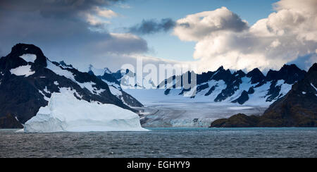 Süd-Georgien, Drygalski Fjord, Panorama Stockfoto