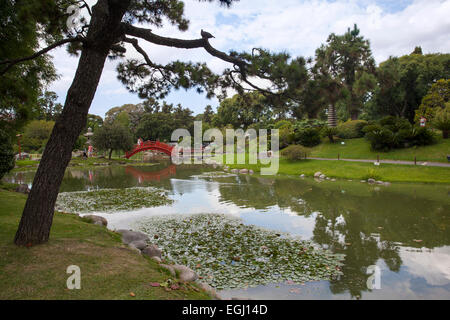Der Buenos Aires "Japanese Gardens". Argentinien. Stockfoto