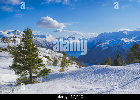 Herrliche Aussicht auf die verschneiten Ebenen im norwegischen Volda Stockfoto