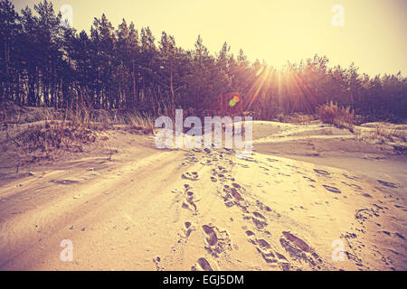 Jahrgang verblasst Natur Hintergrund mit Flare-Effekt. Stockfoto