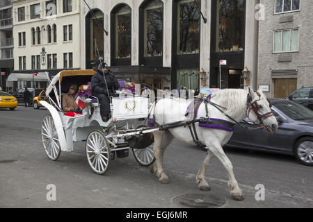 Einige dauern einer romantische Kutschfahrt entlang der Central Park South am Valentinstag in New York City. Stockfoto