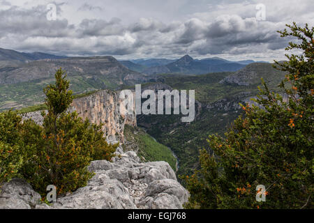 GORGE DU VERDON, Frankreich - 11. Mai 2014: Ein Blick auf die Gorge du Verdon (Verdon-Schlucht) in Südfrankreich. Stockfoto