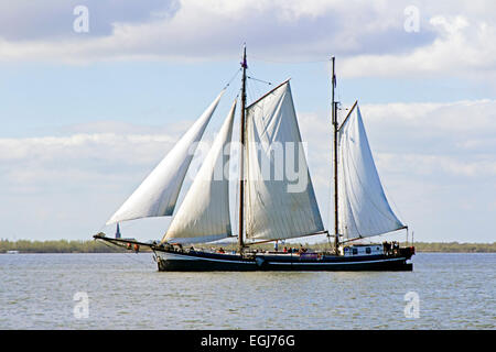 Traditionelle Segelschiffe auf dem IJsselmeer in den Niederlanden Stockfoto