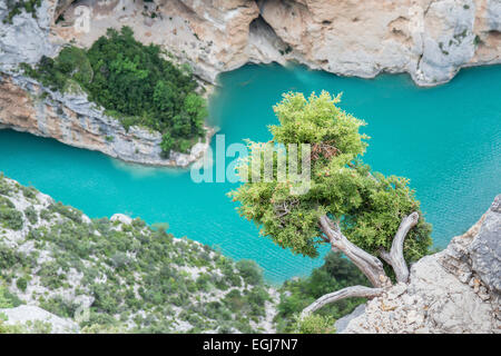 GORGE DU VERDON, Frankreich - 11. Mai 2014: Ein Blick auf die Gorge du Verdon (Verdon-Schlucht) in Südfrankreich. Stockfoto