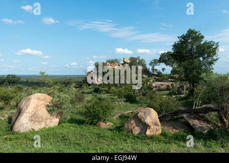 Granit-Plätze und Landschaft im Süden des Krüger Nationalpark, Südafrika Stockfoto